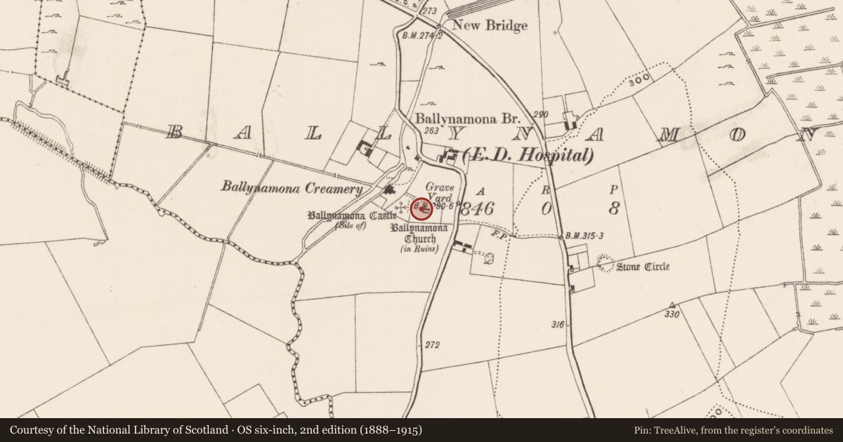 Ordnance Survey six-inch map, 2nd edition (1888–1915) covering the location of Church, Ballynamona, County Limerick, with a pin at the register's coordinates
