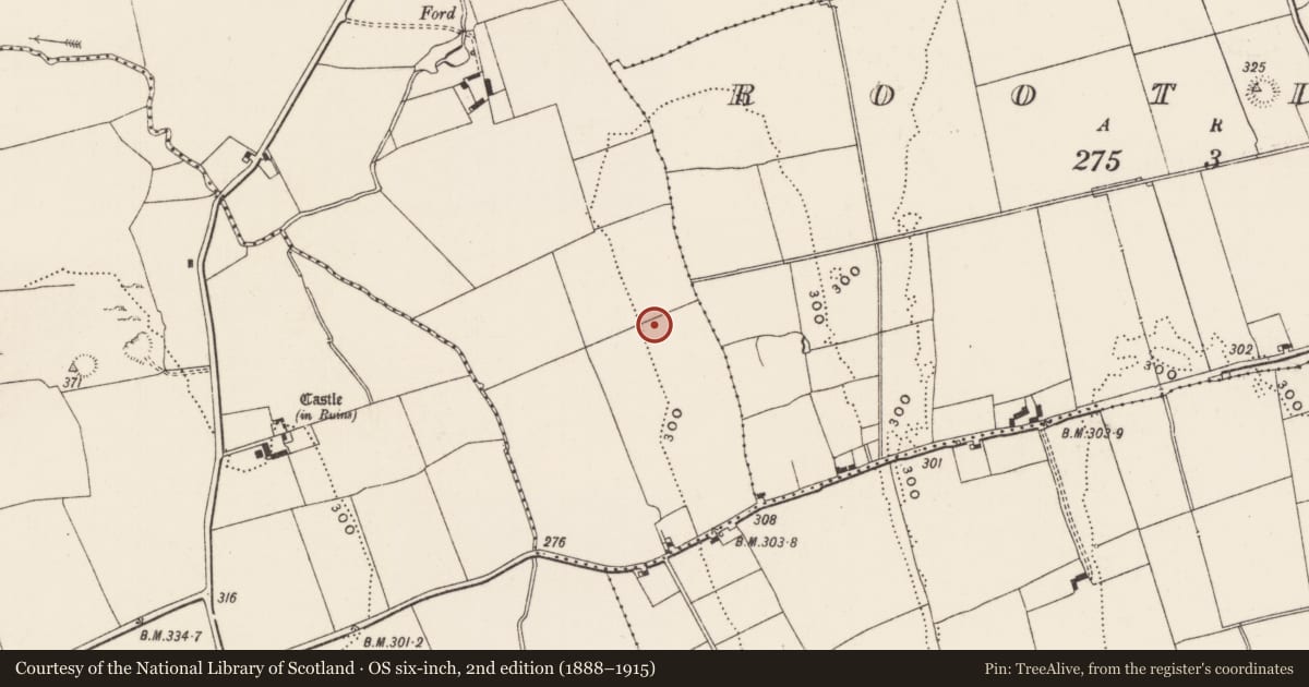 Ordnance Survey six-inch map, 2nd edition (1888–1915) covering the location of Standing stone, Cloghaviller, County Limerick, with a pin at the register's coordinates