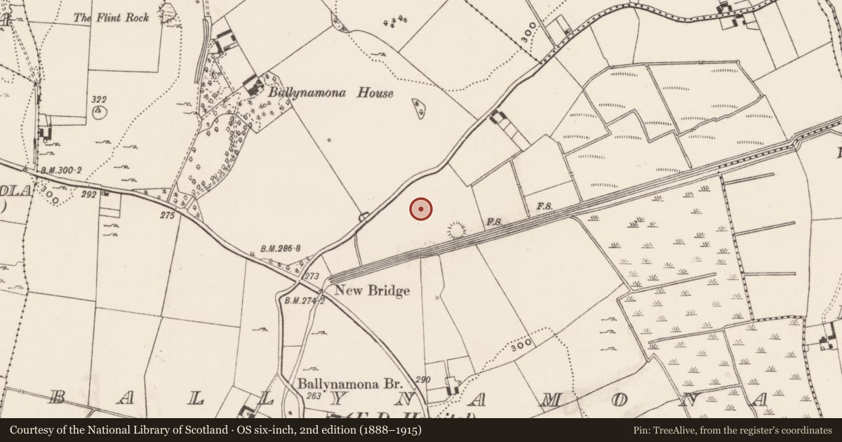 Ordnance Survey six-inch map, 2nd edition (1888–1915) covering the location of Barrow - unclassified, Ballynamona, County Limerick, with a pin at the register's coordinates