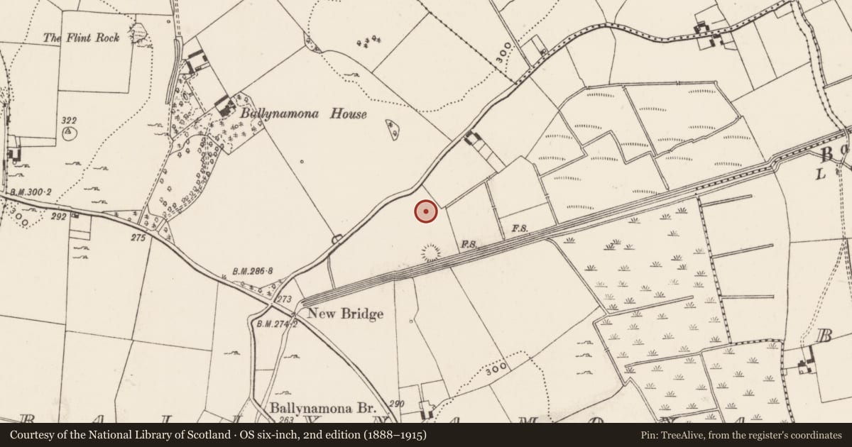 Ordnance Survey six-inch map, 2nd edition (1888–1915) covering the location of Barrow - unclassified, Ballynamona, County Limerick, with a pin at the register's coordinates