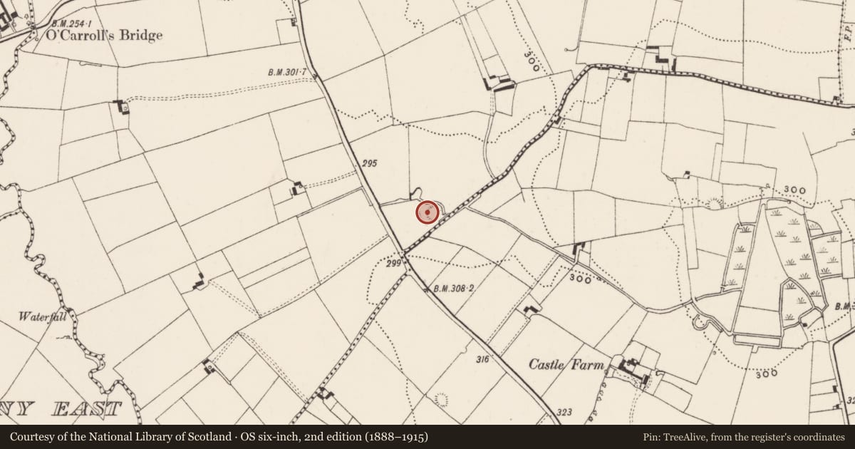 Ordnance Survey six-inch map, 2nd edition (1888–1915) covering the location of Barrow - ring-barrow, Ballynamona, County Limerick, with a pin at the register's coordinates