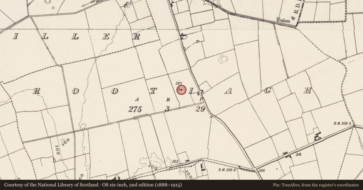 Ordnance Survey six-inch map, 2nd edition (1888–1915) covering the location of Enclosure, Rootiagh, County Limerick, with a pin at the register's coordinates