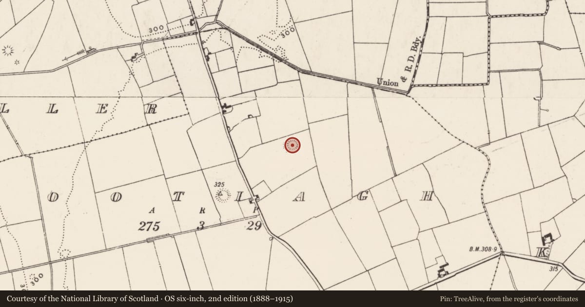 Ordnance Survey six-inch map, 2nd edition (1888–1915) covering the location of Enclosure, Rootiagh, County Limerick, with a pin at the register's coordinates