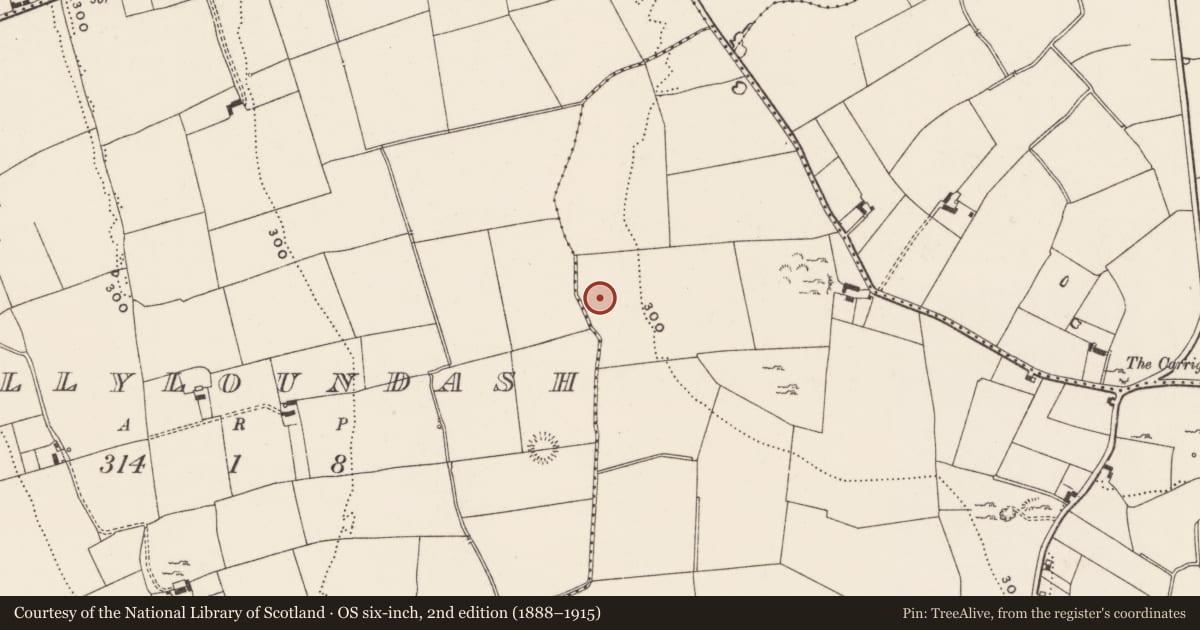 Ordnance Survey six-inch map, 2nd edition (1888–1915) covering the location of Earthwork, Ballynagranagh, County Limerick, with a pin at the register's coordinates