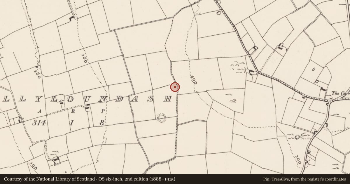 Ordnance Survey six-inch map, 2nd edition (1888–1915) covering the location of Barrow - ring-barrow, Ballyloundash, County Limerick, with a pin at the register's coordinates