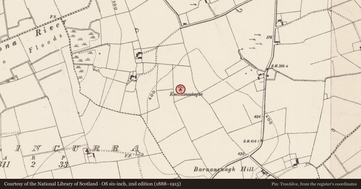 Ordnance Survey six-inch map, 2nd edition (1888–1915) covering the location of Burial mound, Ballinlough, County Limerick, with a pin at the register's coordinates