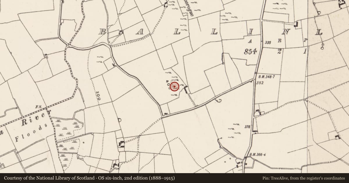 Ordnance Survey six-inch map, 2nd edition (1888–1915) covering the location of Ringfort - cashel, Ballinlough, County Limerick, with a pin at the register's coordinates