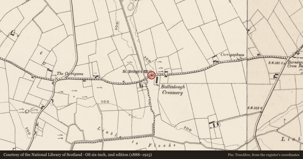 Ordnance Survey six-inch map, 2nd edition (1888–1915) covering the location of Ritual site - holy well, Ballinlough, County Limerick, with a pin at the register's coordinates