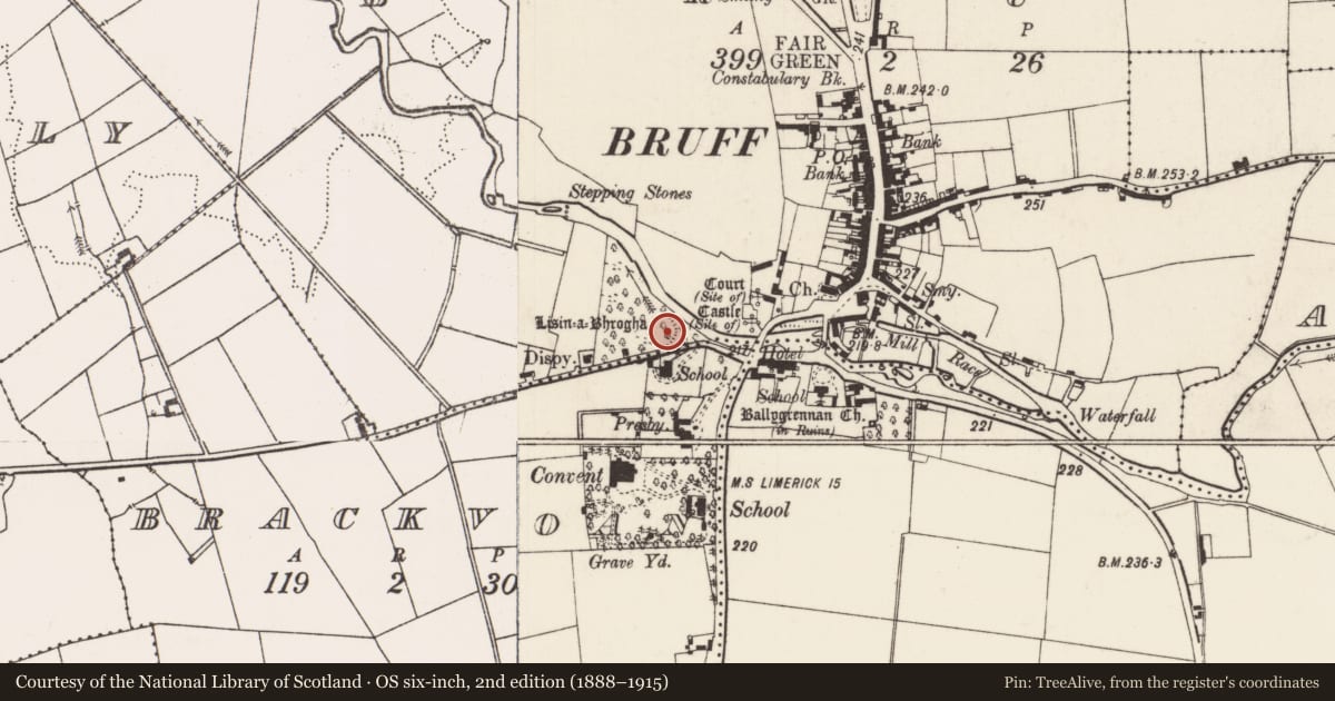 Ordnance Survey six-inch map, 2nd edition (1888–1915) covering the location of Ringfort - rath, Bruff, County Limerick, with a pin at the register's coordinates