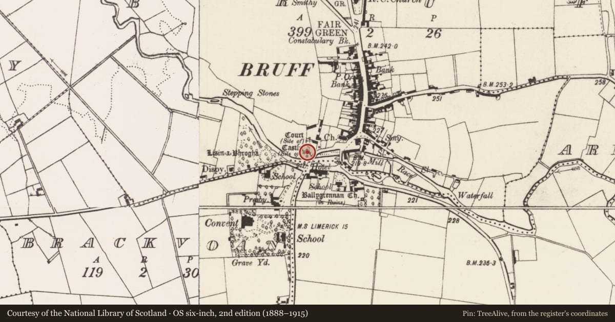 Ordnance Survey six-inch map, 2nd edition (1888–1915) covering the location of Castle - unclassified, Bruff, County Limerick, with a pin at the register's coordinates