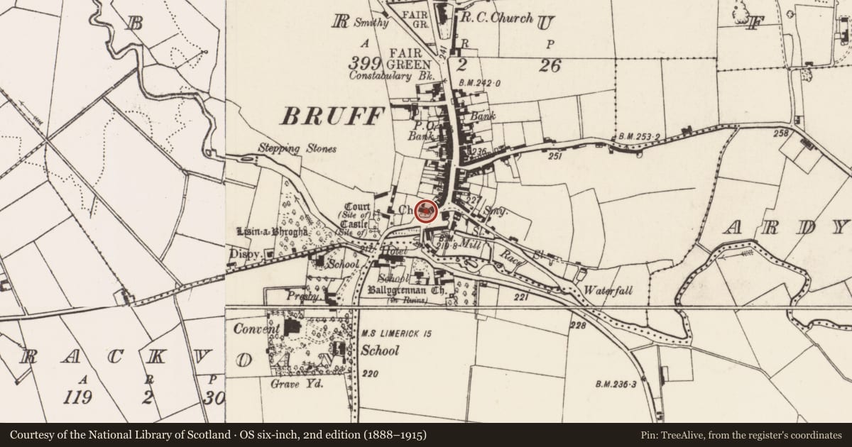 Ordnance Survey six-inch map, 2nd edition (1888–1915) covering the location of Church, Bruff, County Limerick, with a pin at the register's coordinates
