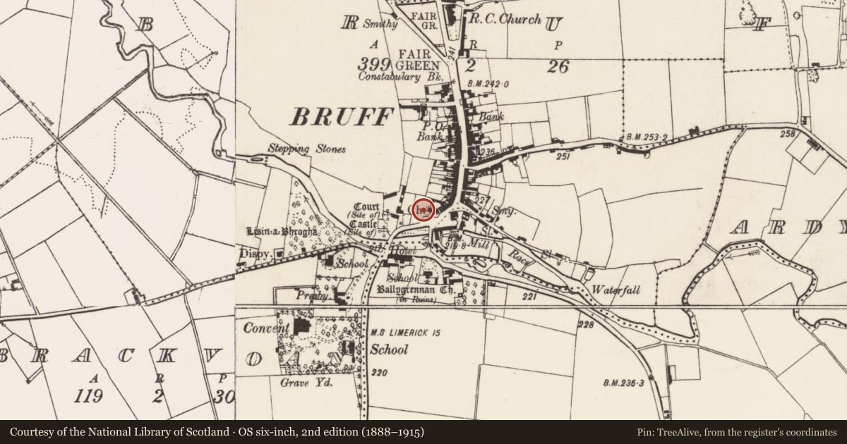 Ordnance Survey six-inch map, 2nd edition (1888–1915) covering the location of Graveyard, Bruff, County Limerick, with a pin at the register's coordinates