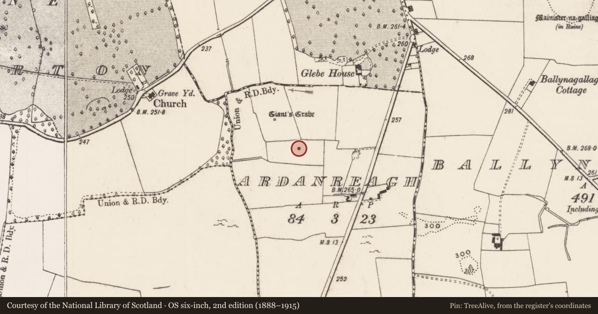 Ordnance Survey six-inch map, 2nd edition (1888–1915) covering the location of Ringfort - rath, Ardanreagh, County Limerick, with a pin at the register's coordinates
