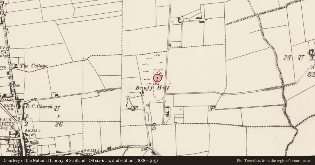 Ordnance Survey six-inch map, 2nd edition (1888–1915) covering the location of Ringfort - rath, Bruff, County Limerick, with a pin at the register's coordinates