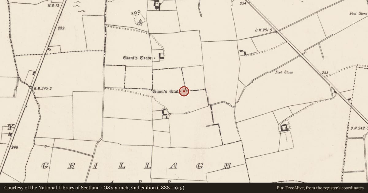Ordnance Survey six-inch map, 2nd edition (1888–1915) covering the location of Cave, Grillagh, County Limerick, with a pin at the register's coordinates