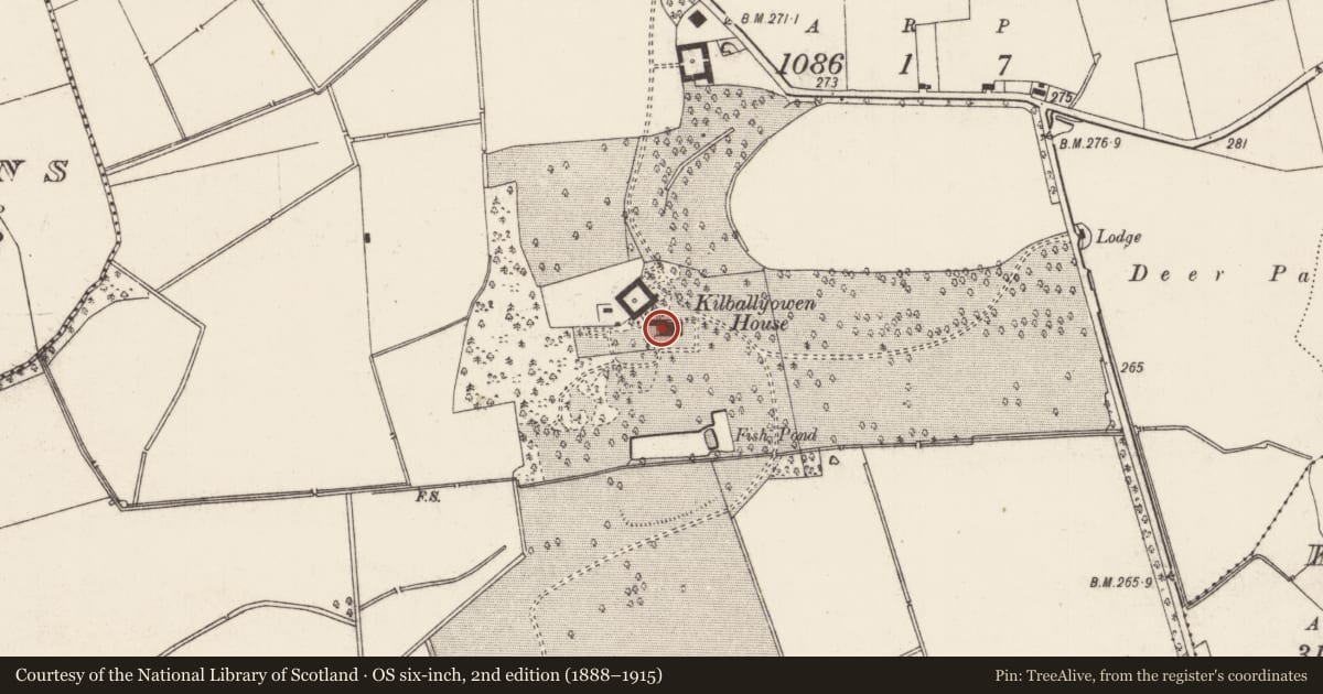 Ordnance Survey six-inch map, 2nd edition (1888–1915) covering the location of Castle - unclassified, Kilballyowen, County Limerick, with a pin at the register's coordinates