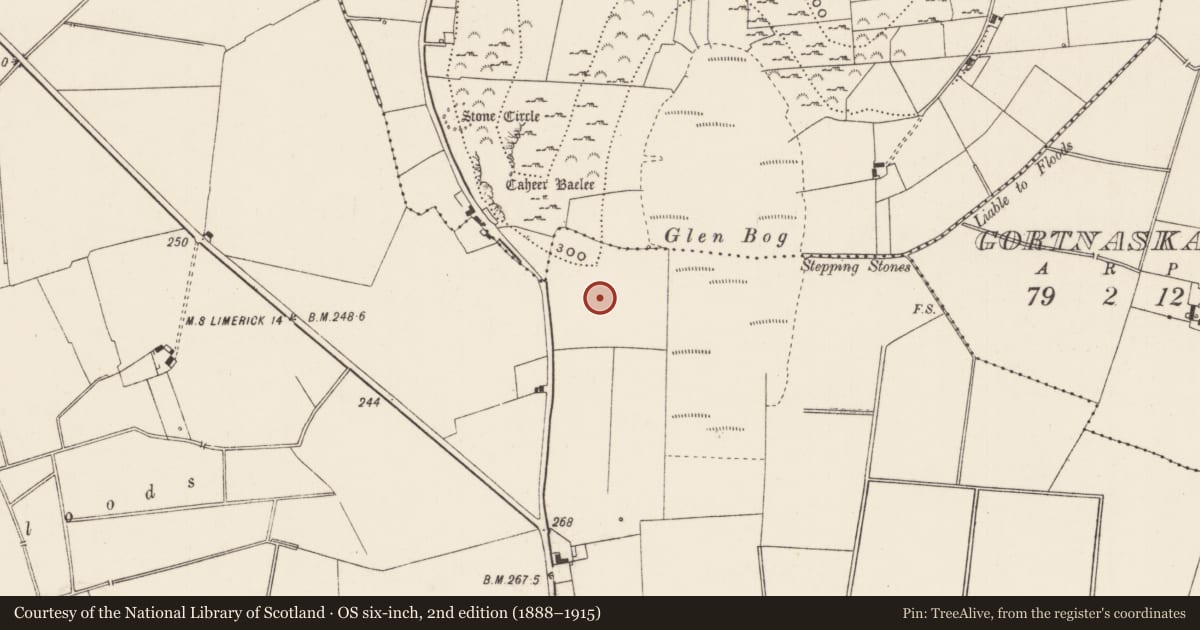 Ordnance Survey six-inch map, 2nd edition (1888–1915) covering the location of Standing stone, Kilballyowen, County Limerick, with a pin at the register's coordinates