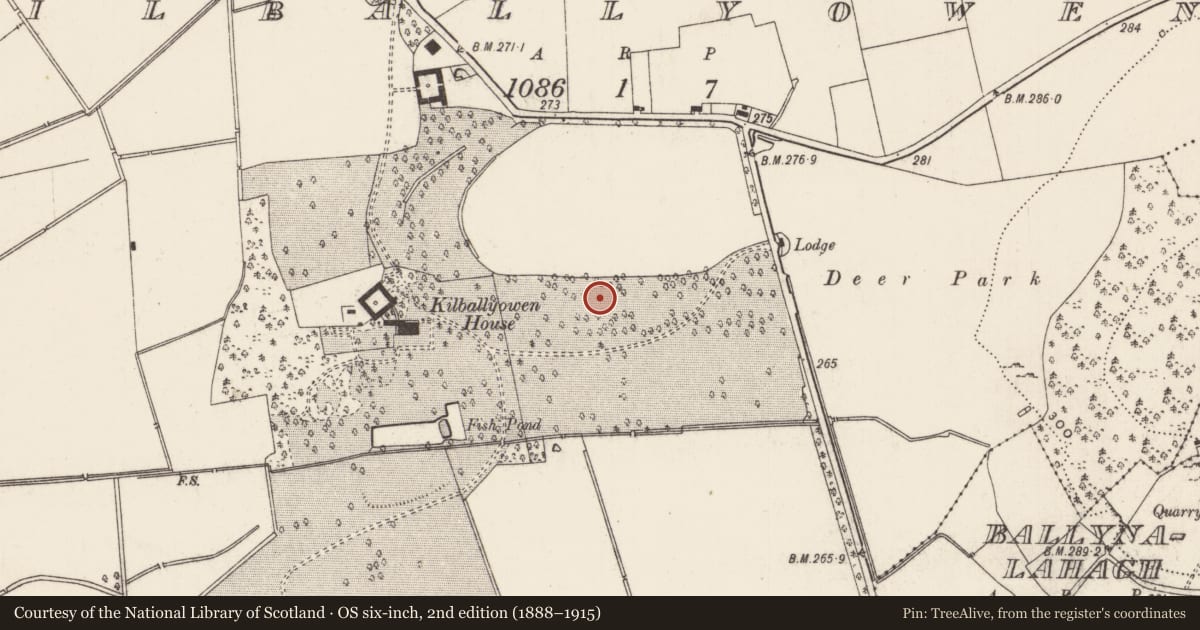 Ordnance Survey six-inch map, 2nd edition (1888–1915) covering the location of Barrow - ring-barrow, Kilballyowen, County Limerick, with a pin at the register's coordinates