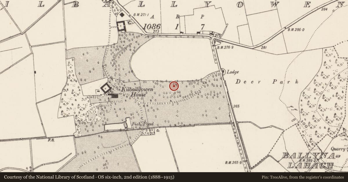 Ordnance Survey six-inch map, 2nd edition (1888–1915) covering the location of Barrow - ring-barrow, Kilballyowen, County Limerick, with a pin at the register's coordinates