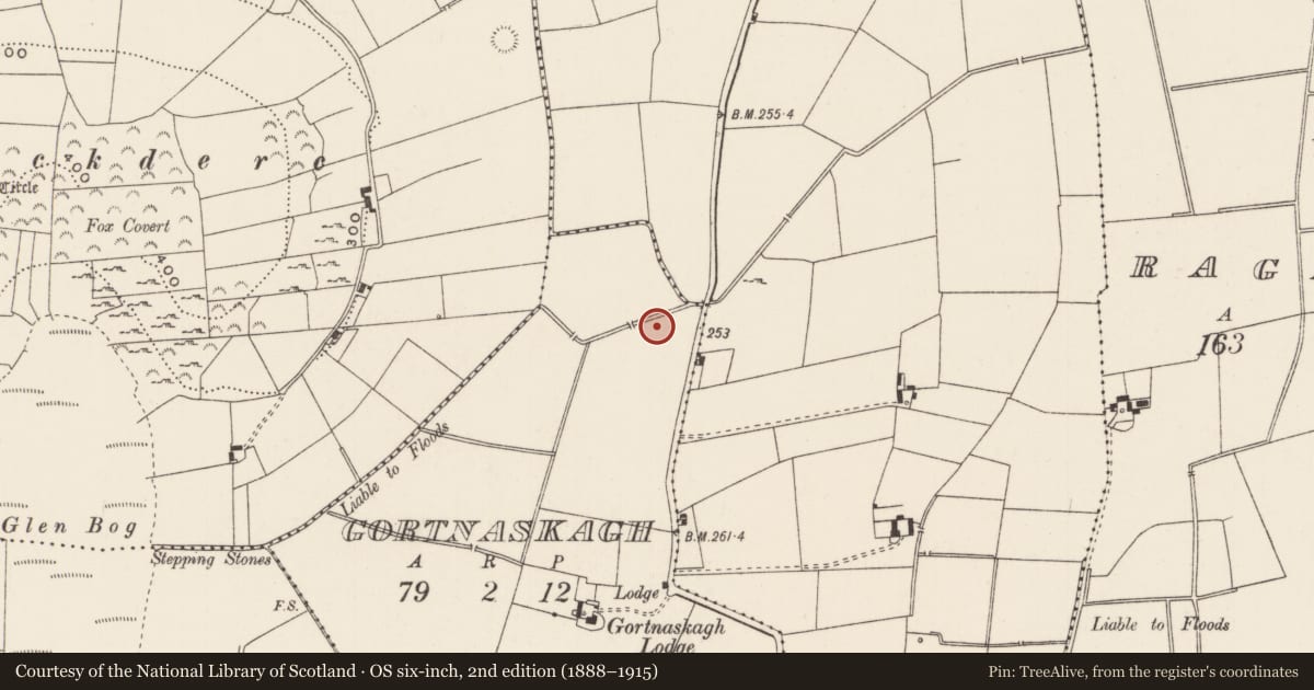 Ordnance Survey six-inch map, 2nd edition (1888–1915) covering the location of Enclosure, Gortnaskagh, County Limerick, with a pin at the register's coordinates