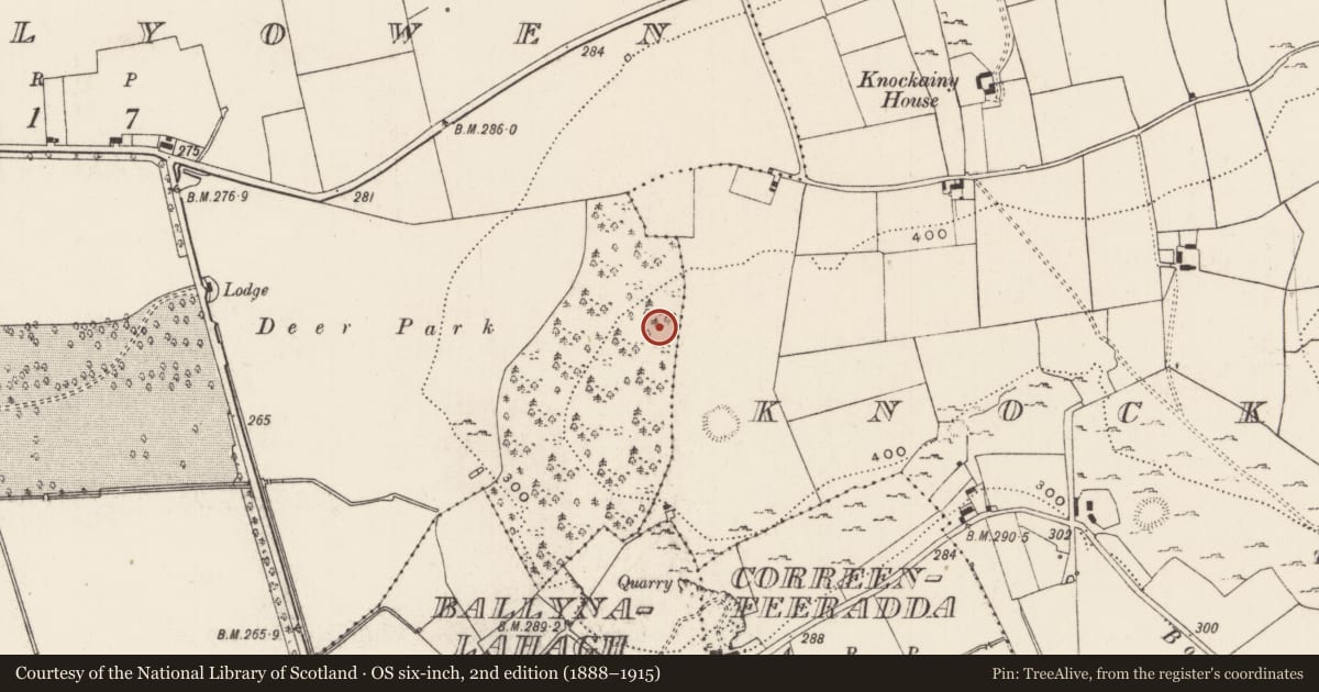 Ordnance Survey six-inch map, 2nd edition (1888–1915) covering the location of Earthwork, Kilballyowen, County Limerick, with a pin at the register's coordinates