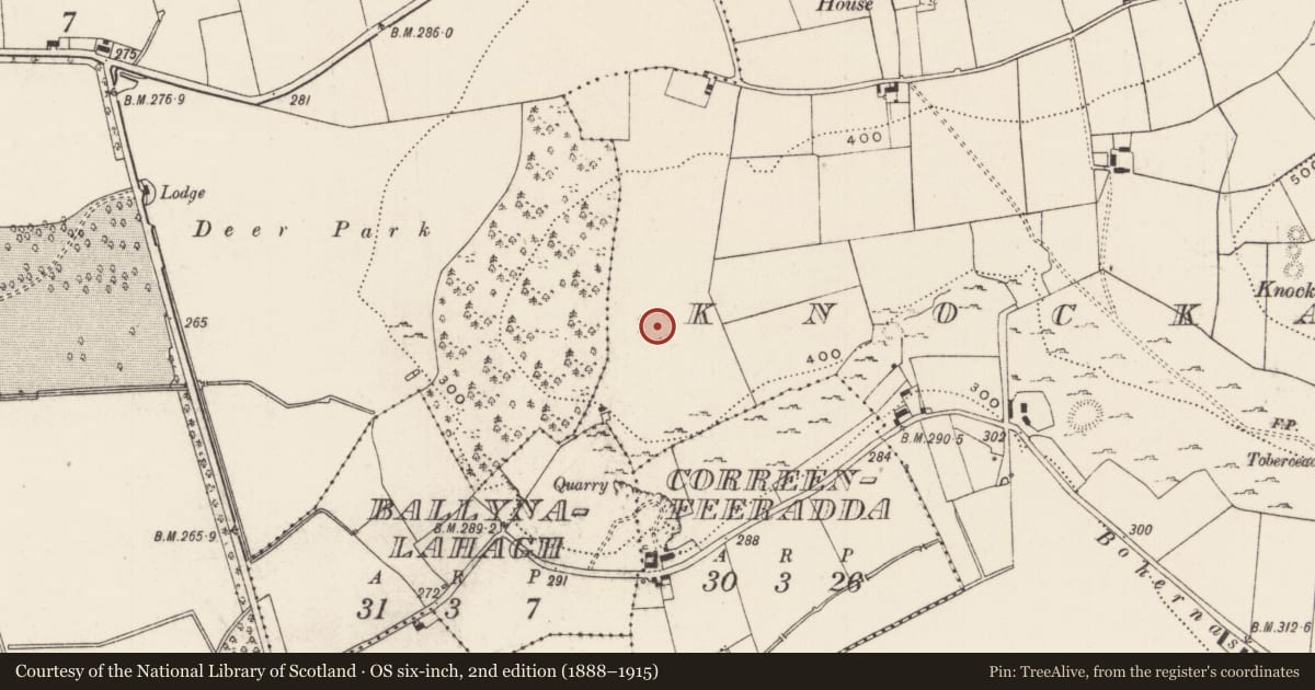Ordnance Survey six-inch map, 2nd edition (1888–1915) covering the location of Ringfort - rath, Knockainy West, County Limerick, with a pin at the register's coordinates