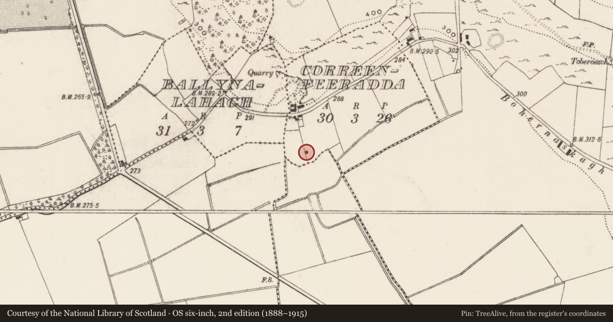 Ordnance Survey six-inch map, 2nd edition (1888–1915) covering the location of Standing stone, Correenfeeradda, County Limerick, with a pin at the register's coordinates