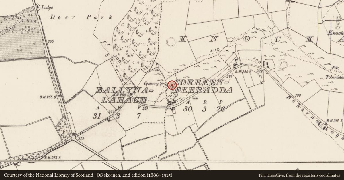 Ordnance Survey six-inch map, 2nd edition (1888–1915) covering the location of Cave, Correenfeeradda, County Limerick, with a pin at the register's coordinates