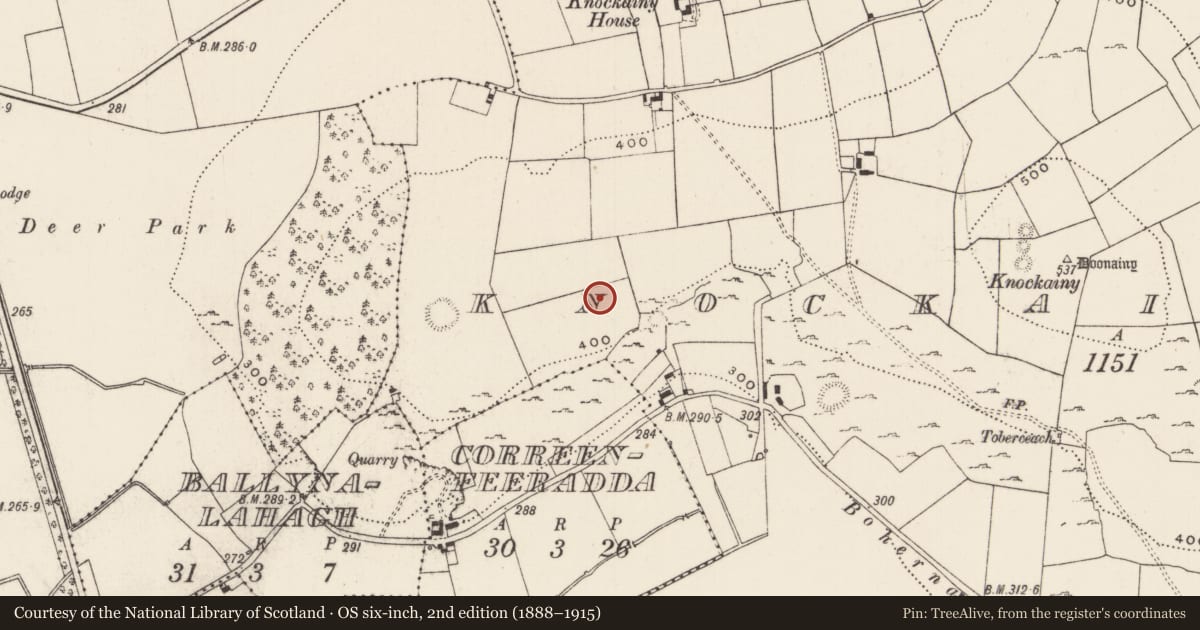 Ordnance Survey six-inch map, 2nd edition (1888–1915) covering the location of Standing stone, Knockainy West, County Limerick, with a pin at the register's coordinates