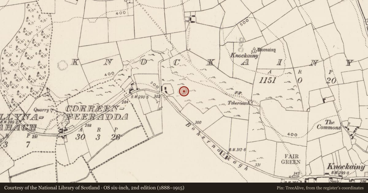 Ordnance Survey six-inch map, 2nd edition (1888–1915) covering the location of Ringfort - cashel, Knockainy West, County Limerick, with a pin at the register's coordinates