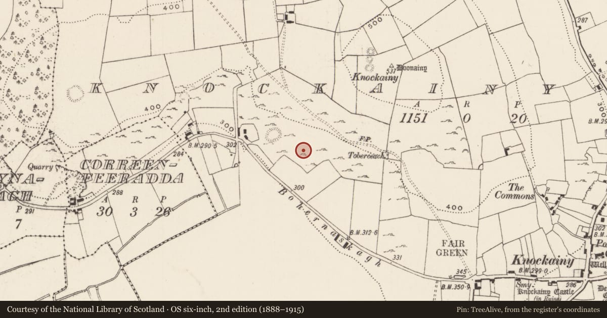 Ordnance Survey six-inch map, 2nd edition (1888–1915) covering the location of Ringfort - cashel, Knockainy West, County Limerick, with a pin at the register's coordinates