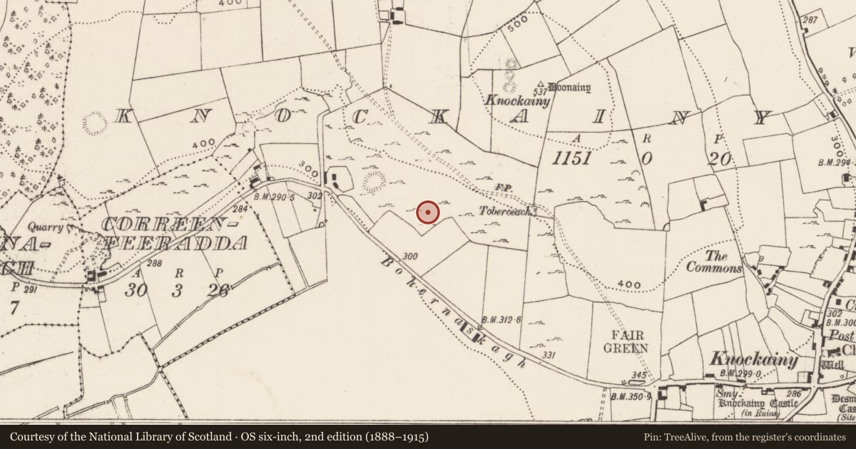 Ordnance Survey six-inch map, 2nd edition (1888–1915) covering the location of Ringfort - cashel, Knockainy West, County Limerick, with a pin at the register's coordinates