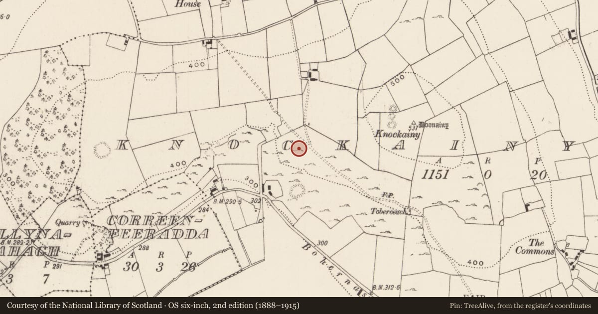 Ordnance Survey six-inch map, 2nd edition (1888–1915) covering the location of Ringfort - cashel, Knockainy West, County Limerick, with a pin at the register's coordinates