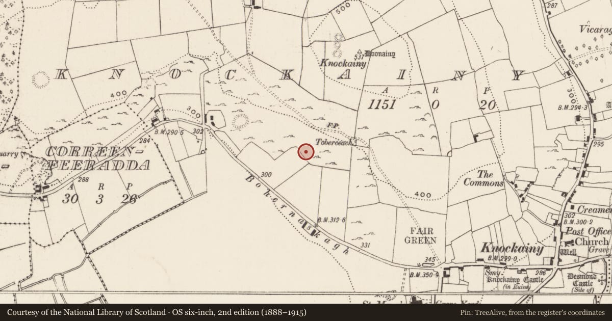 Ordnance Survey six-inch map, 2nd edition (1888–1915) covering the location of Hut site, Knockainy West, County Limerick, with a pin at the register's coordinates