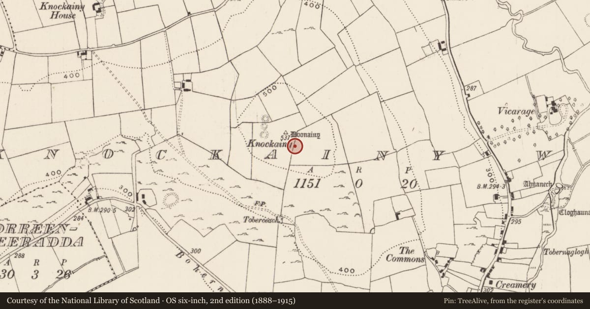 Ordnance Survey six-inch map, 2nd edition (1888–1915) covering the location of Barrow - ring-barrow, Knockainy West, County Limerick, with a pin at the register's coordinates