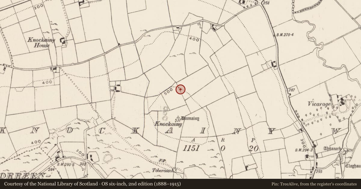 Ordnance Survey six-inch map, 2nd edition (1888–1915) covering the location of Cursus, Knockainy West, County Limerick, with a pin at the register's coordinates