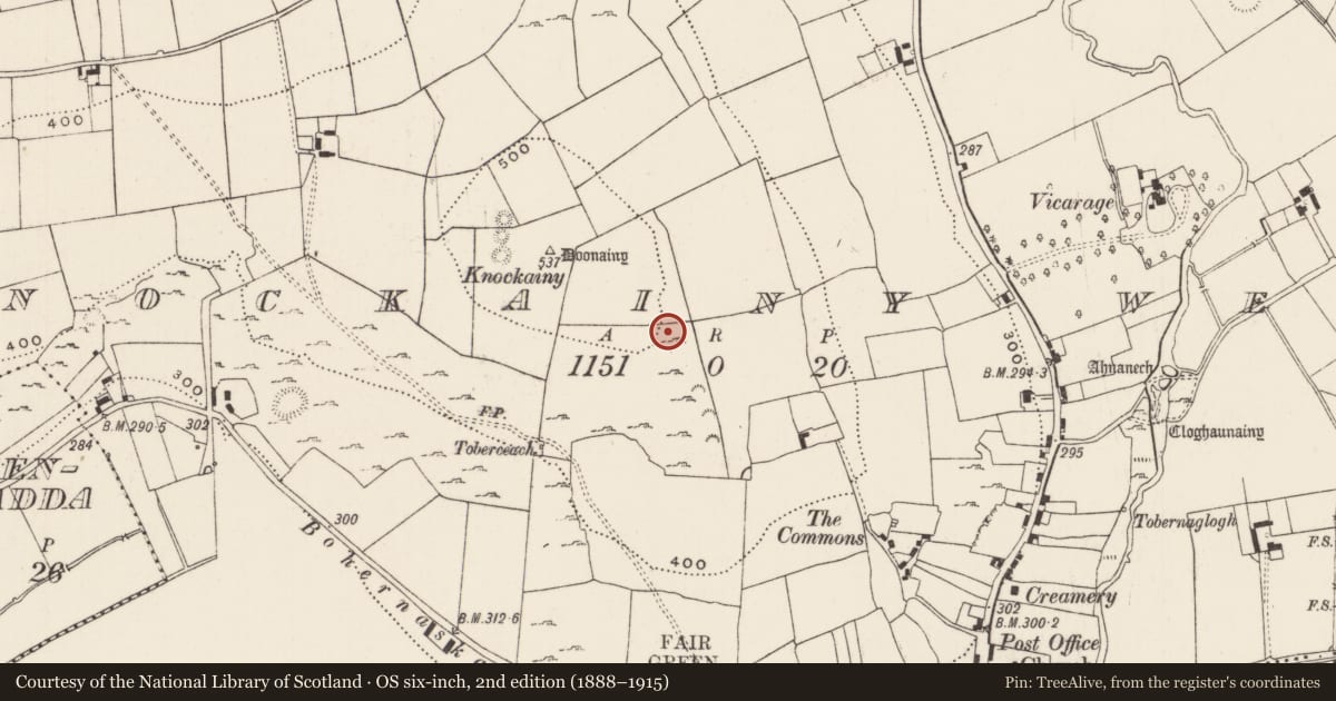Ordnance Survey six-inch map, 2nd edition (1888–1915) covering the location of Barrow - ring-barrow, Knockainy West, County Limerick, with a pin at the register's coordinates