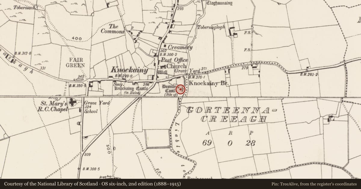 Ordnance Survey six-inch map, 2nd edition (1888–1915) covering the location of Castle - unclassified, Knockainy West, County Limerick, with a pin at the register's coordinates