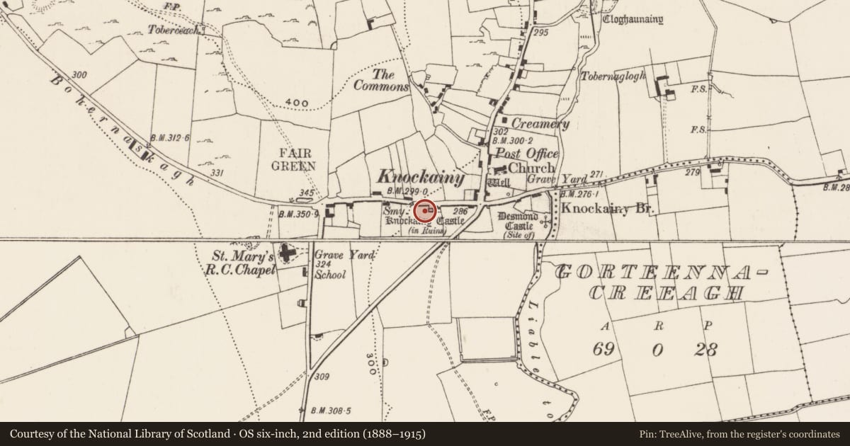 Ordnance Survey six-inch map, 2nd edition (1888–1915) covering the location of Castle - tower house, Knockainy West, County Limerick, with a pin at the register's coordinates