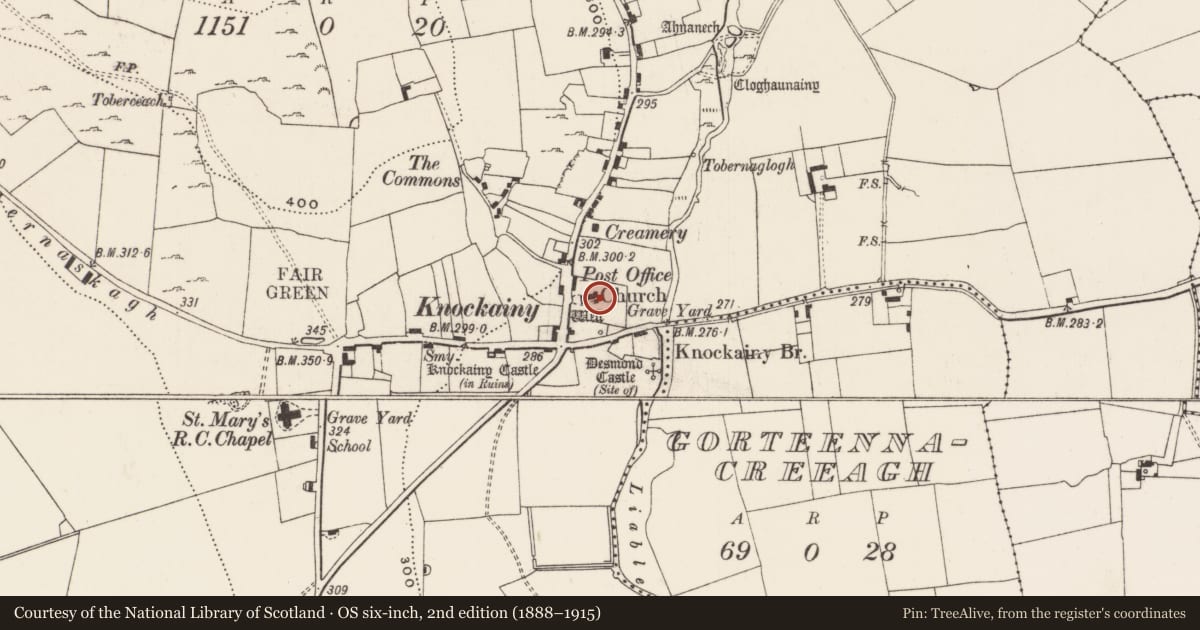 Ordnance Survey six-inch map, 2nd edition (1888–1915) covering the location of Graveslab, Knockainy West, County Limerick, with a pin at the register's coordinates