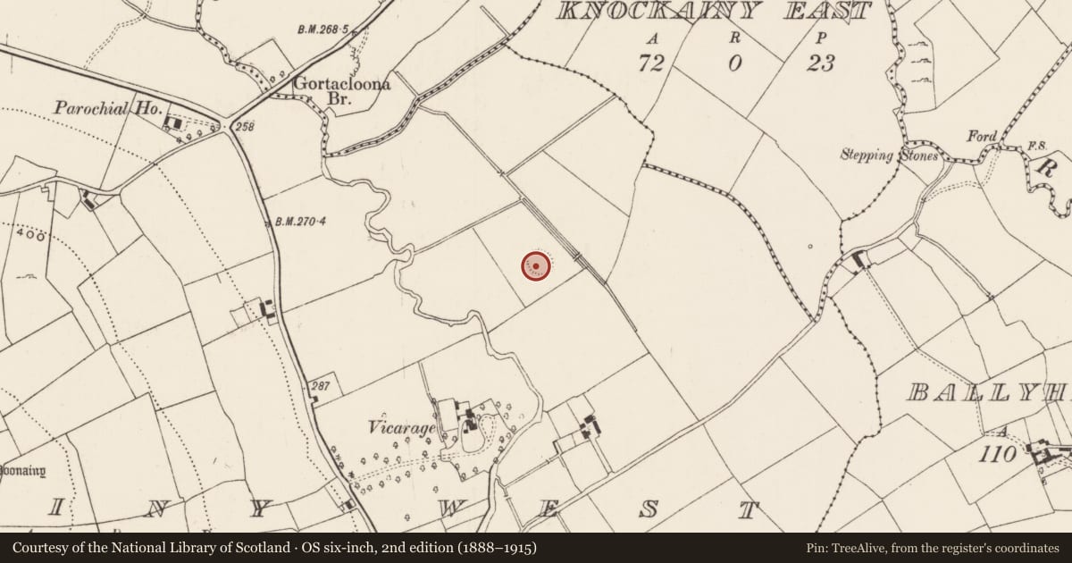 Ordnance Survey six-inch map, 2nd edition (1888–1915) covering the location of Barrow - ring-barrow, Knockainy West, County Limerick, with a pin at the register's coordinates