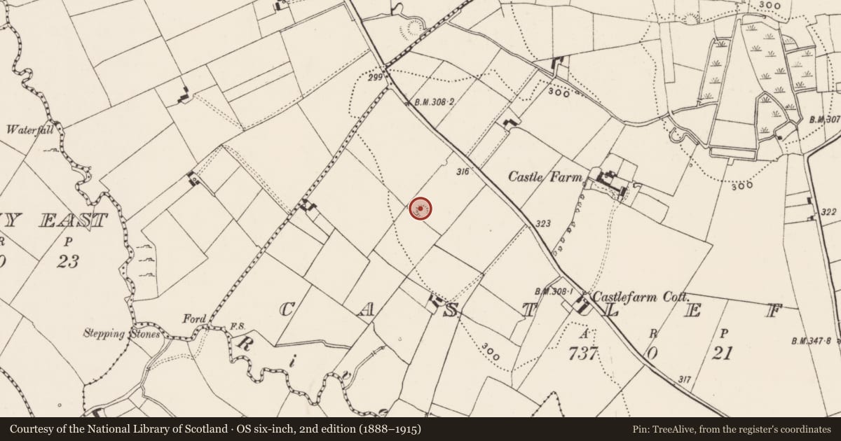 Ordnance Survey six-inch map, 2nd edition (1888–1915) covering the location of Ringfort - rath, Castlefarm, County Limerick, with a pin at the register's coordinates