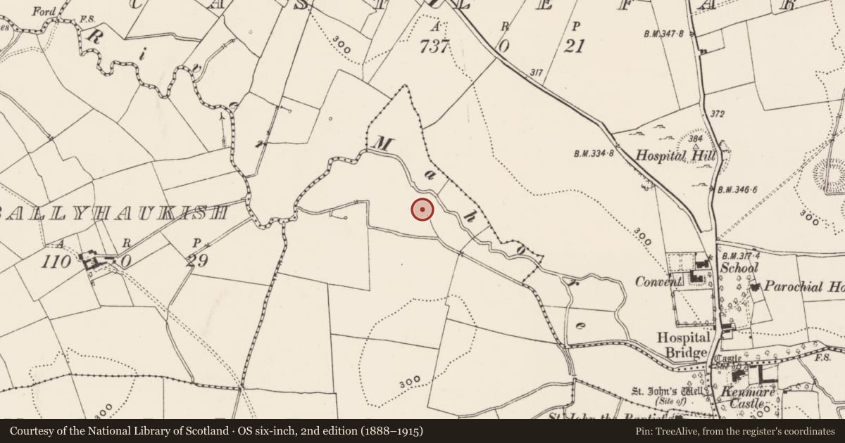 Ordnance Survey six-inch map, 2nd edition (1888–1915) covering the location of Water mill - unclassified, Millfarm, County Limerick, with a pin at the register's coordinates