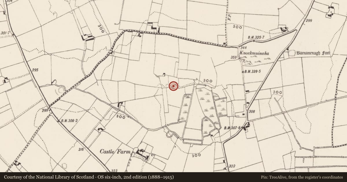 Ordnance Survey six-inch map, 2nd edition (1888–1915) covering the location of Enclosure, Castlefarm, County Limerick, with a pin at the register's coordinates