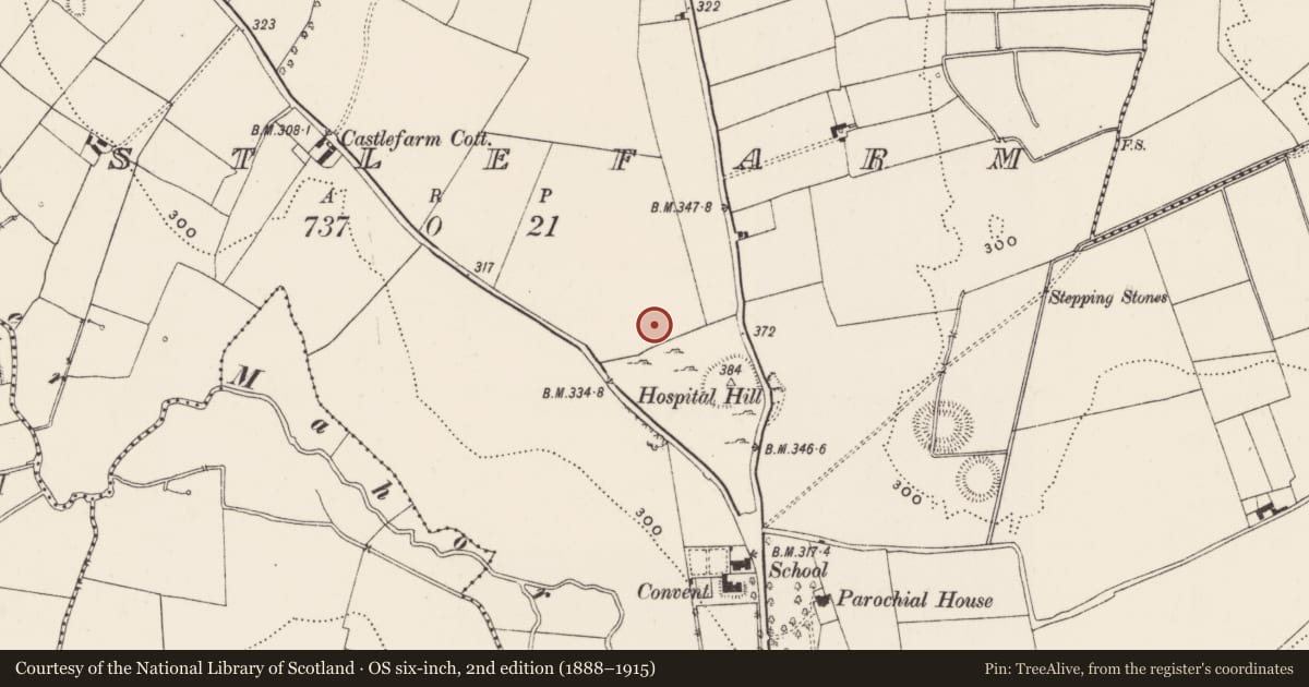 Ordnance Survey six-inch map, 2nd edition (1888–1915) covering the location of Earthwork, Castlefarm, County Limerick, with a pin at the register's coordinates