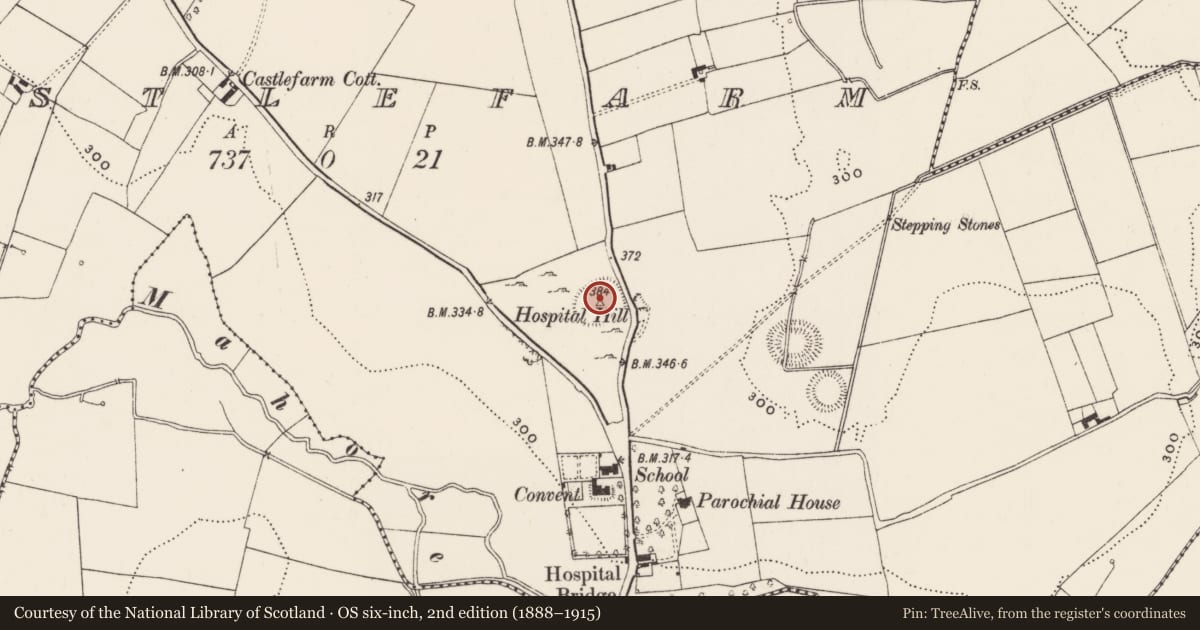 Ordnance Survey six-inch map, 2nd edition (1888–1915) covering the location of Earthwork, Castlefarm, County Limerick, with a pin at the register's coordinates