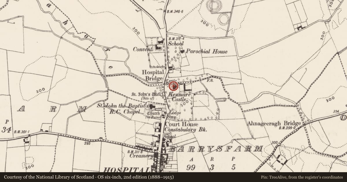 Ordnance Survey six-inch map, 2nd edition (1888–1915) covering the location of Castle - unclassified, Barrysfarm, County Limerick, with a pin at the register's coordinates