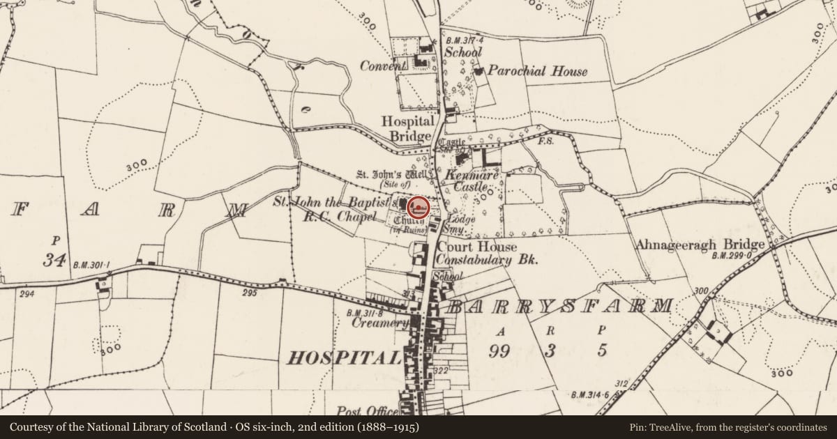 Ordnance Survey six-inch map, 2nd edition (1888–1915) covering the location of Graveslab, Barrysfarm, County Limerick, with a pin at the register's coordinates
