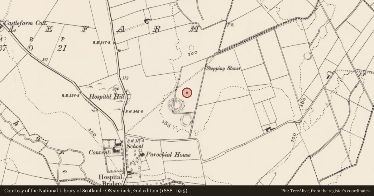 Ordnance Survey six-inch map, 2nd edition (1888–1915) covering the location of Barrow - ring-barrow, Castlefarm, County Limerick, with a pin at the register's coordinates