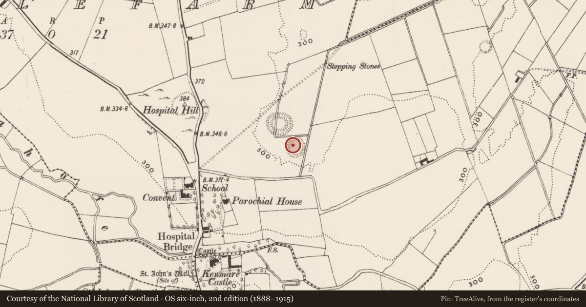 Ordnance Survey six-inch map, 2nd edition (1888–1915) covering the location of Enclosure, Castlefarm, County Limerick, with a pin at the register's coordinates